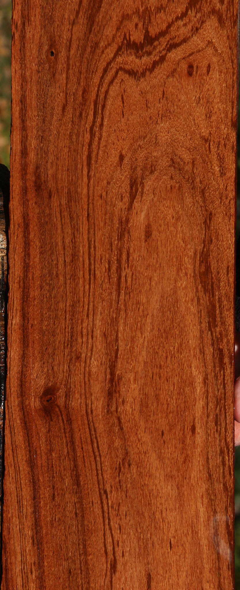 Zambezi Teak Lumber