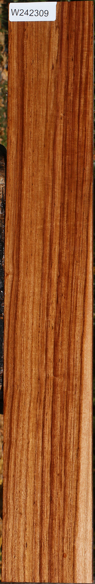 Zambezi Teak Lumber