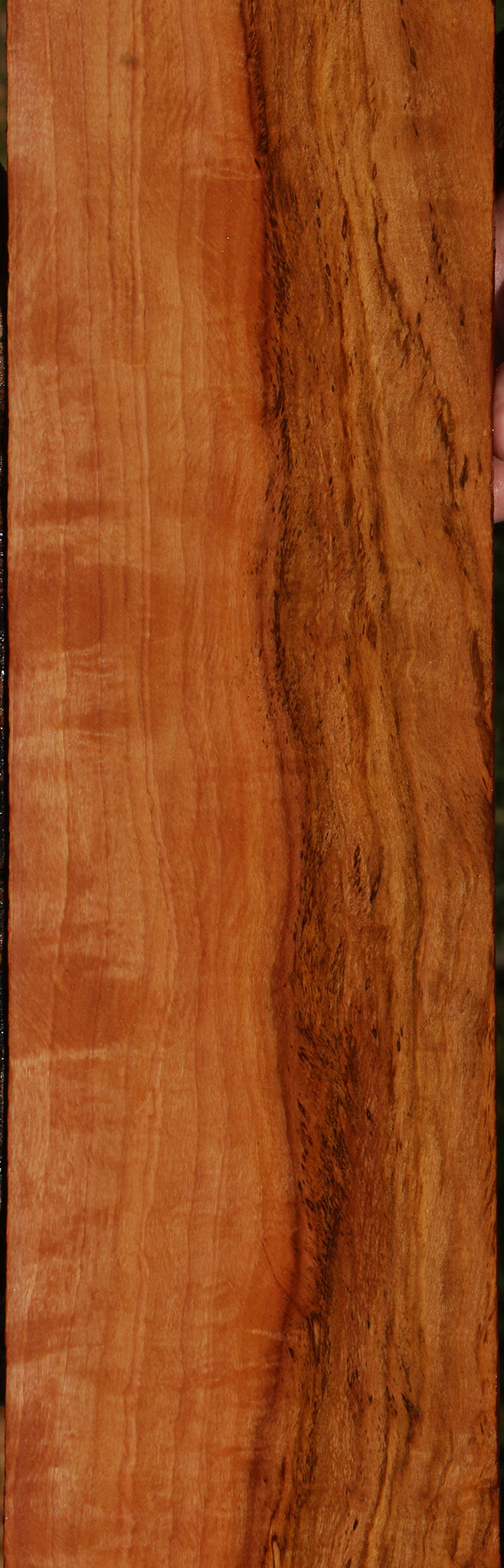 Extra Fancy Zambezi Teak Lumber