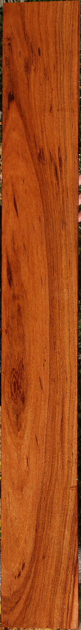 Zambezi Teak Lumber