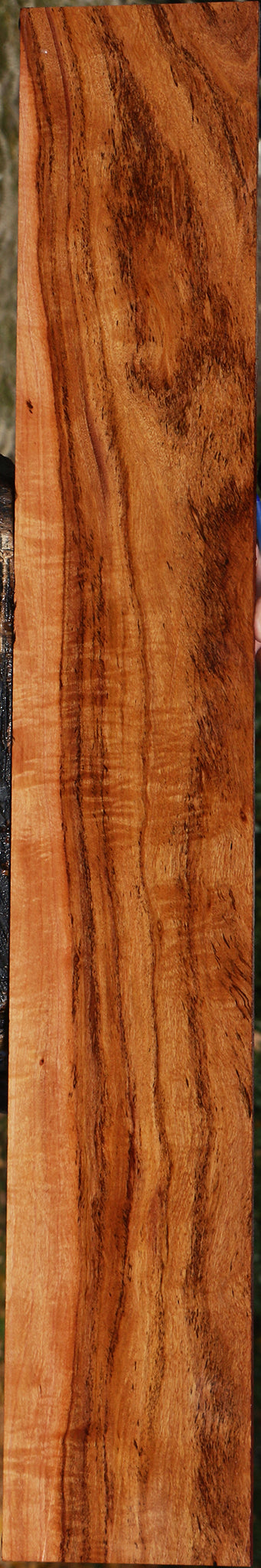 Extra Fancy Zambezi Teak Lumber
