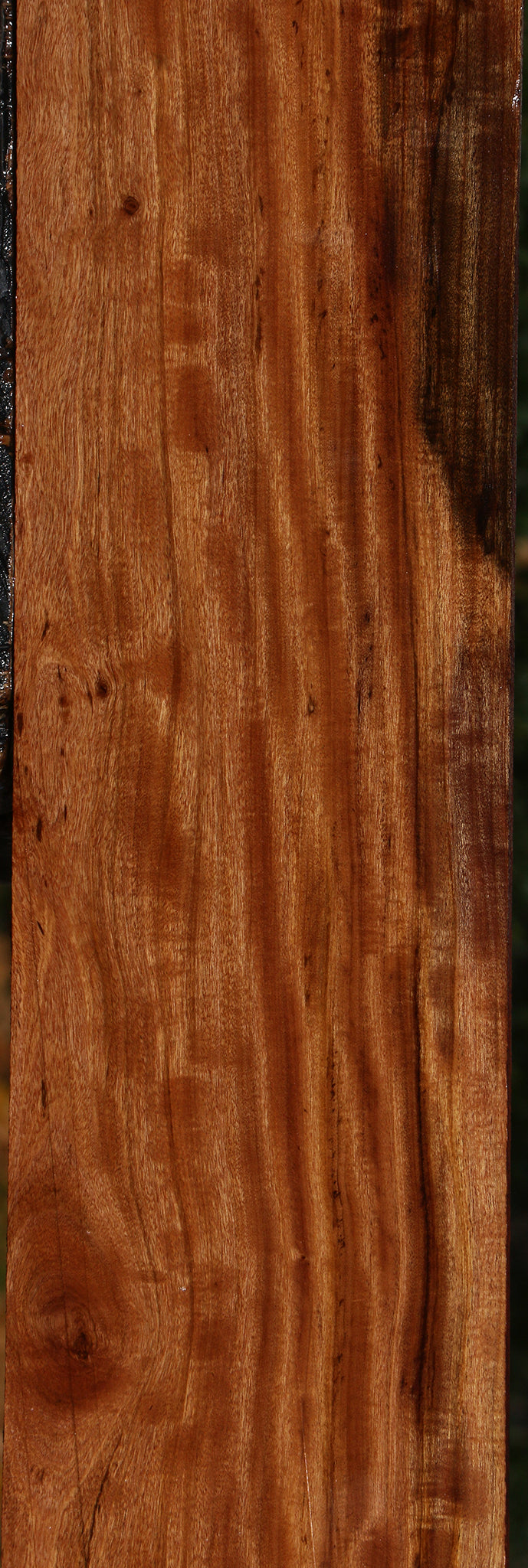 Extra Fancy Zambezi Teak Lumber
