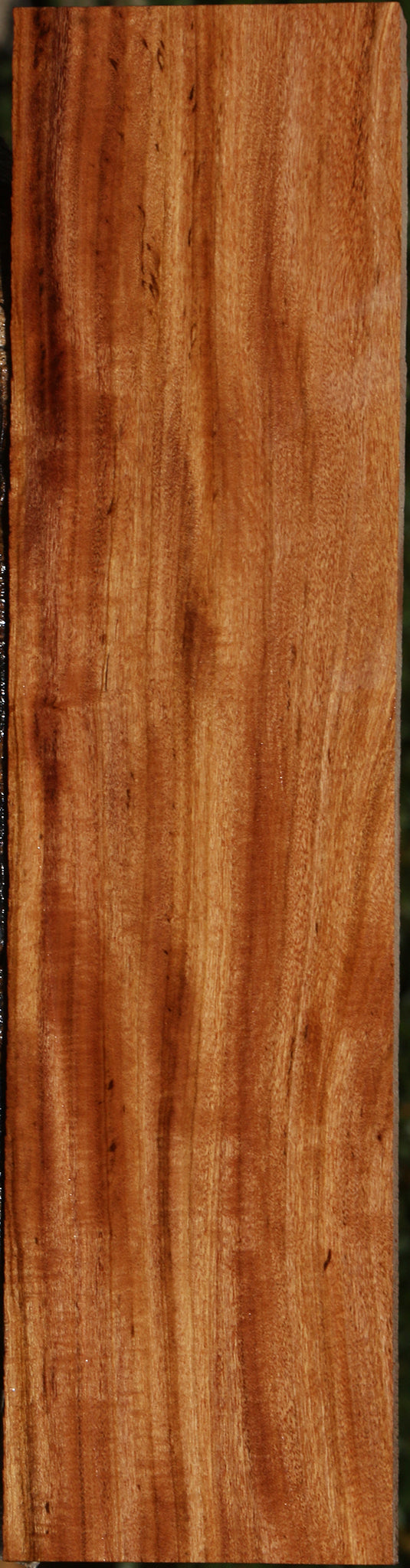 Figured Zambezi Teak Lumber