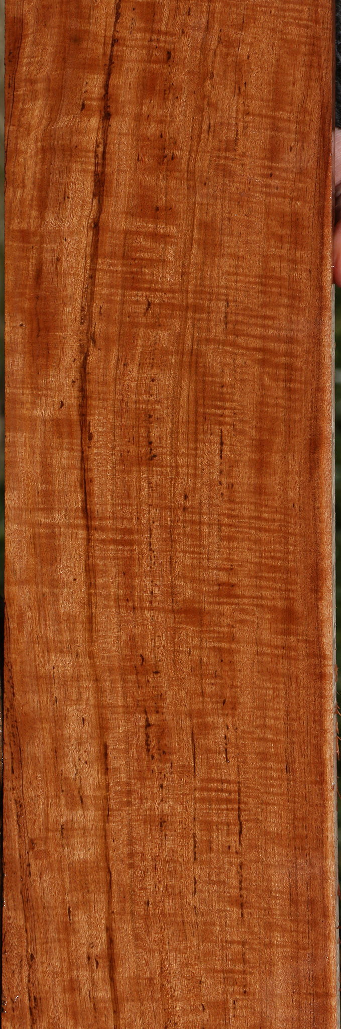 Extra Fancy Zambezi Teak Lumber