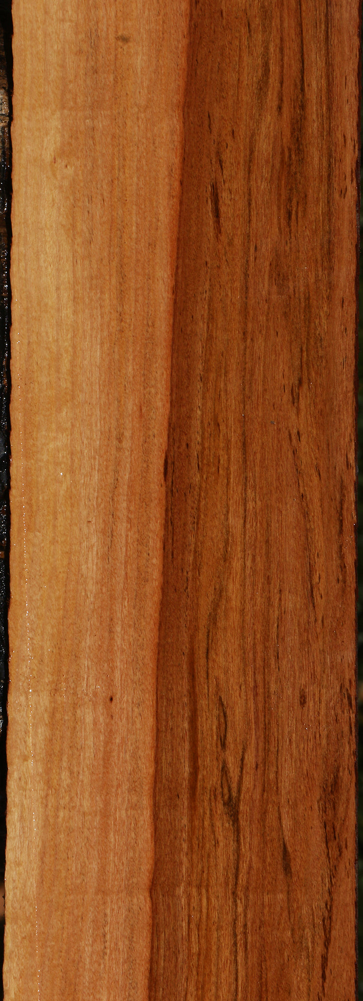 Zambezi Teak Lumber