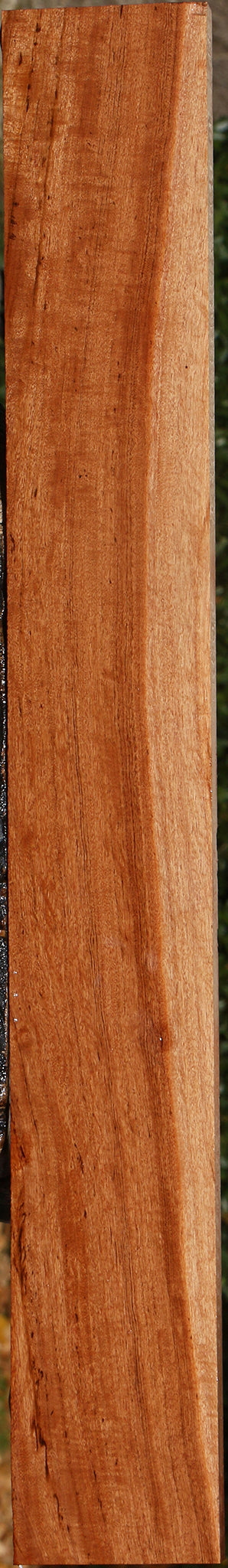 Figured Zambezi Teak Lumber