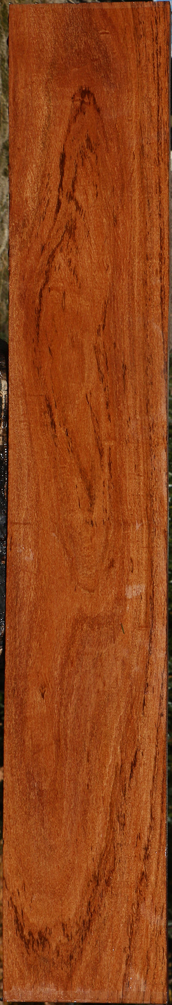 Zambezi Teak Lumber
