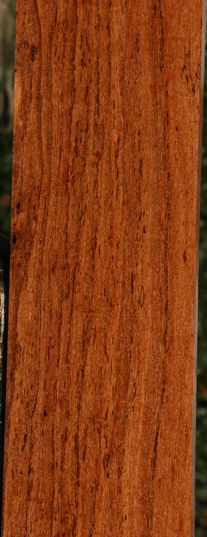 Figured Zambezi Teak Lumber
