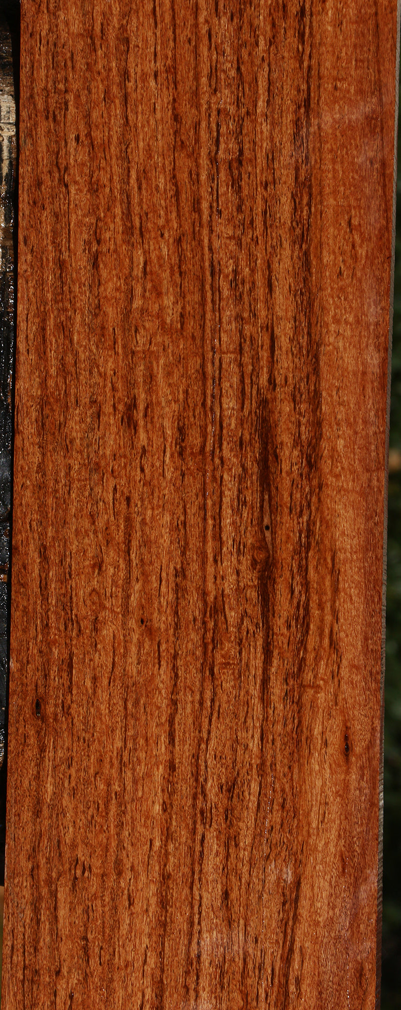 Figured Zambezi Teak Lumber