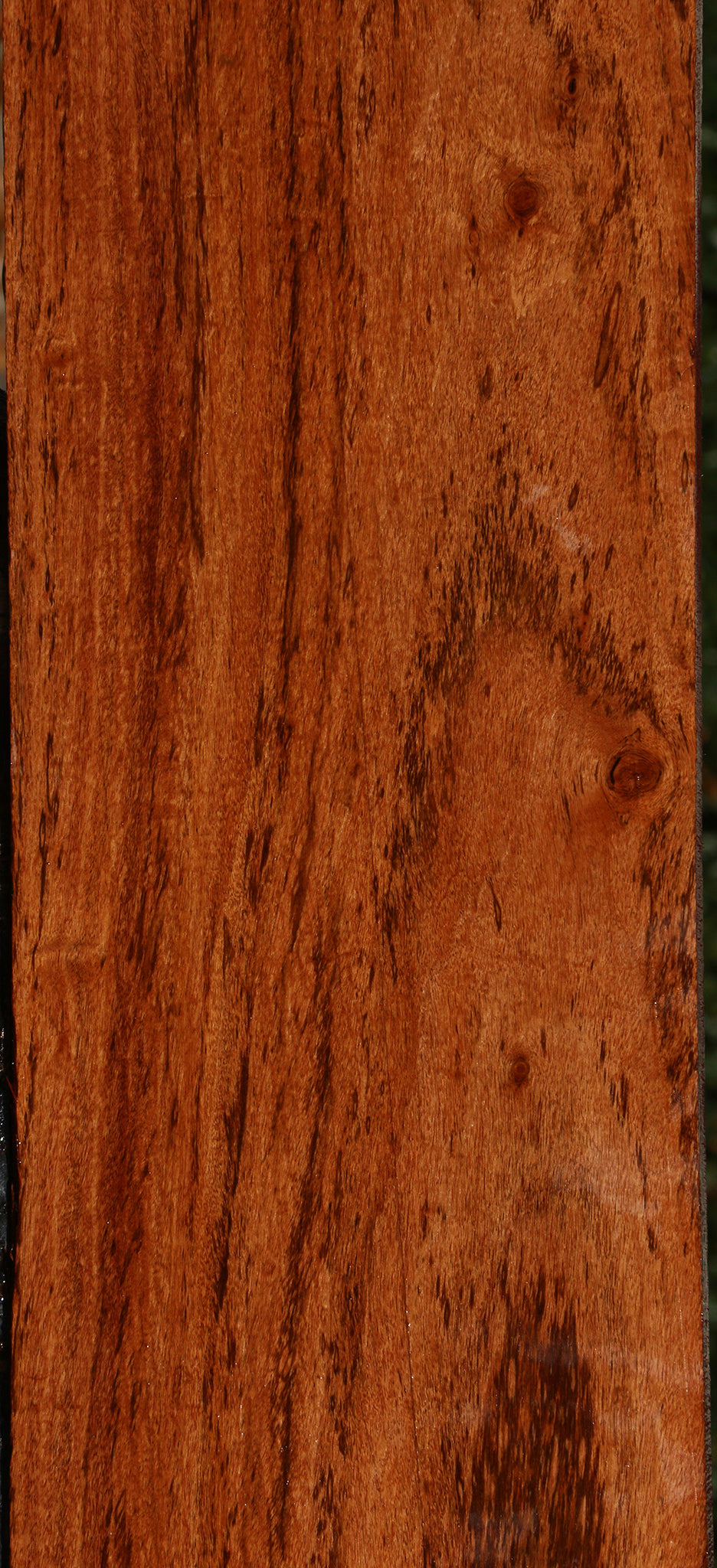 Zambezi Teak Lumber