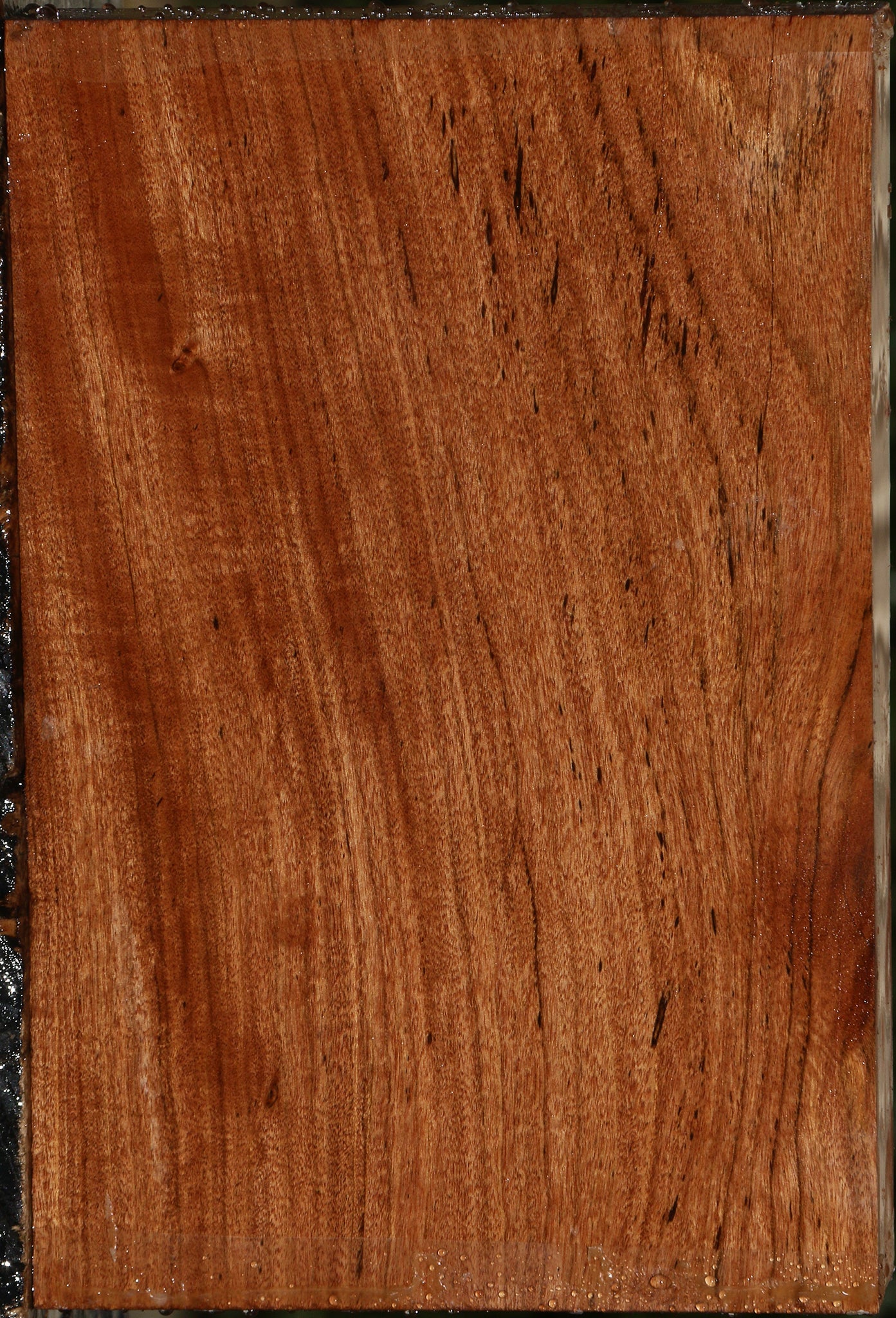 Zambezi Teak Lumber