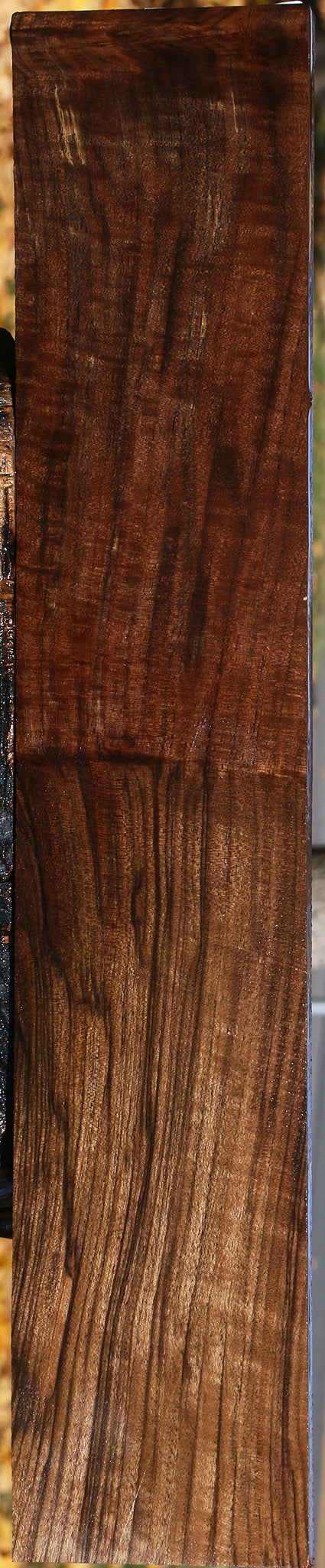 Figured Grafted English/Claro Walnut Lumber