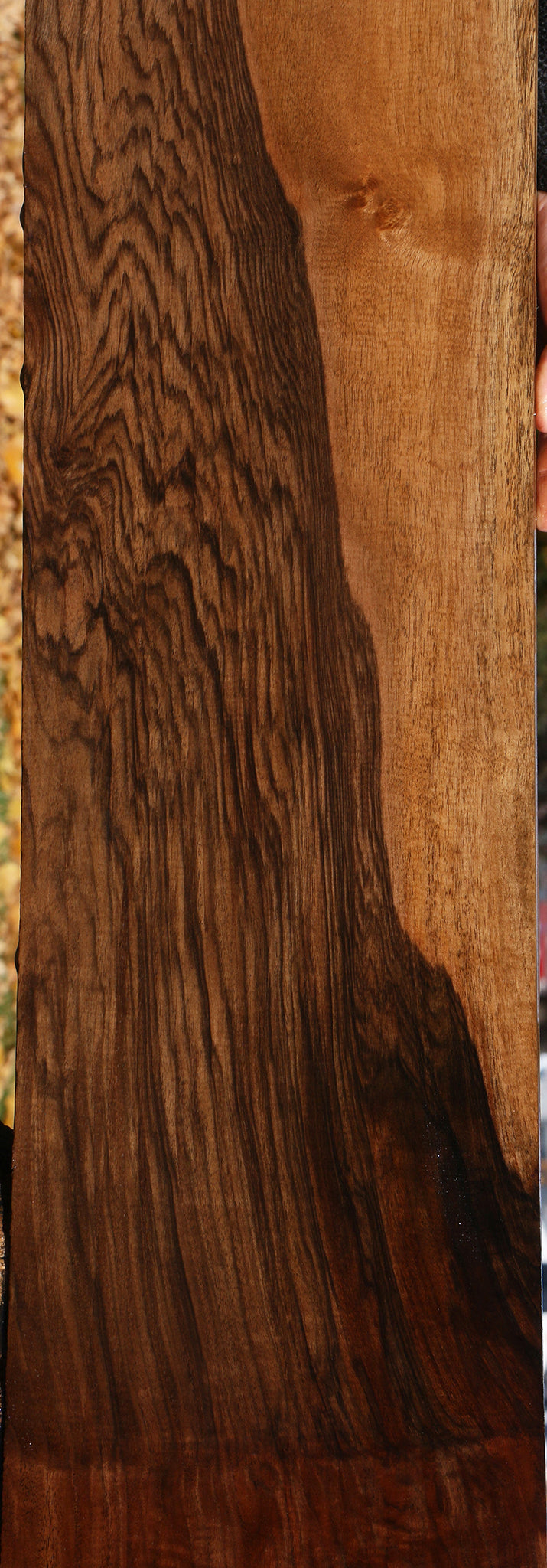 Extra Fancy Grafted English/Claro Walnut Instrument Lumber