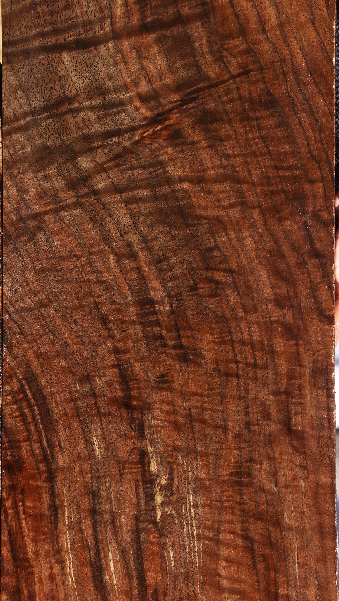 Extra Fancy Claro Walnut Instrument Lumber