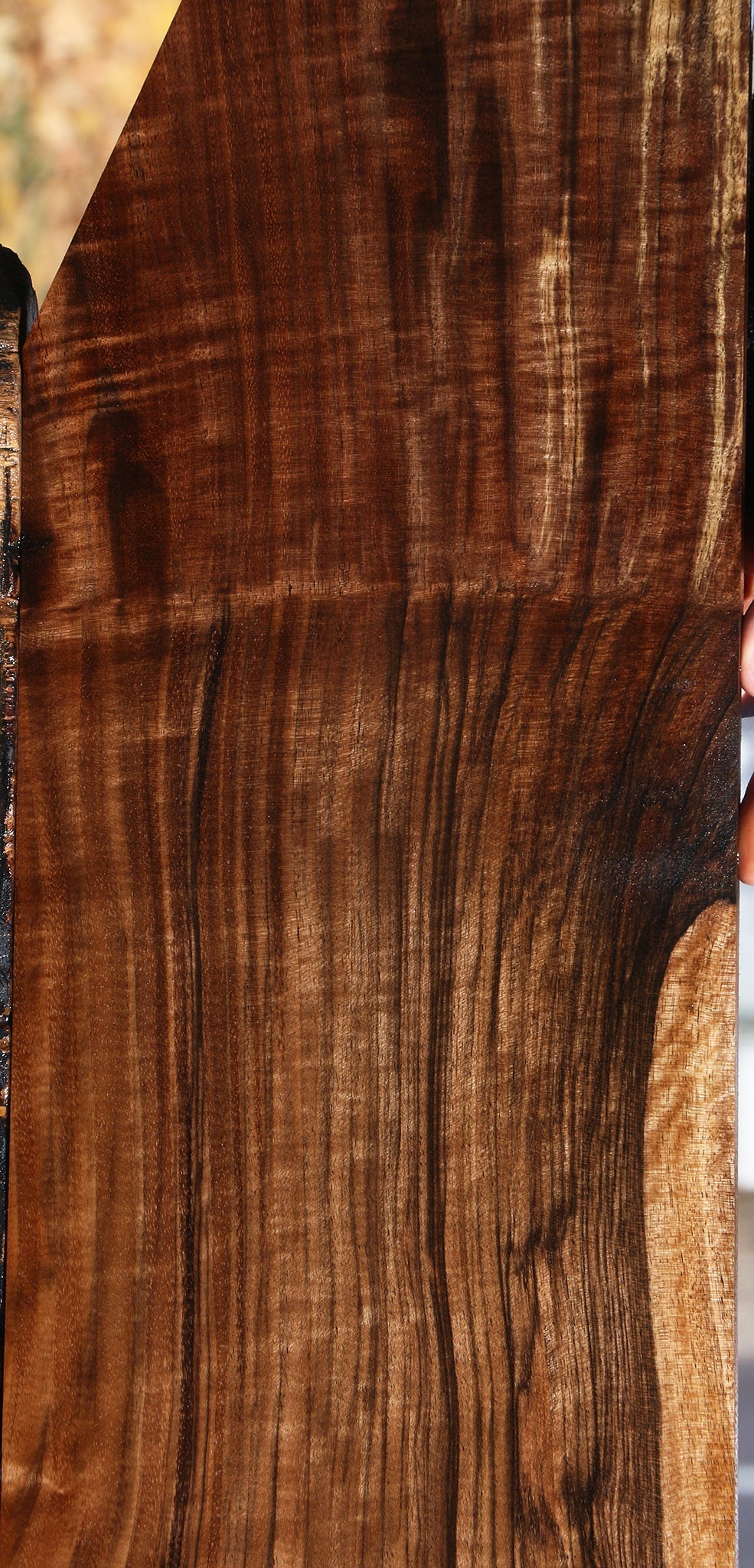 Extra Fancy Grafted English/Claro Walnut Lumber