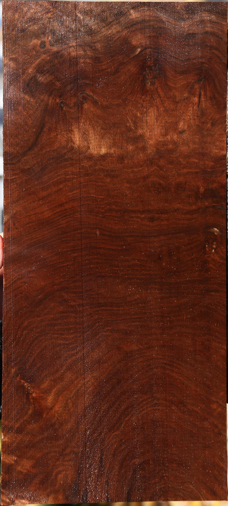 Figured Claro Walnut Lumber