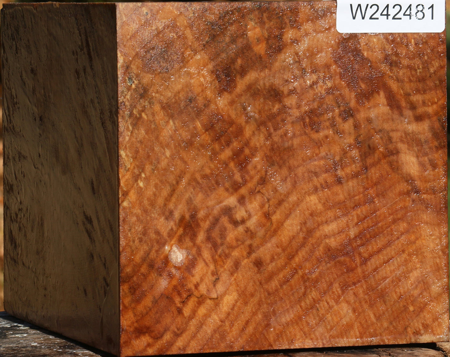 Figured Spalted Maple Vessel Blank