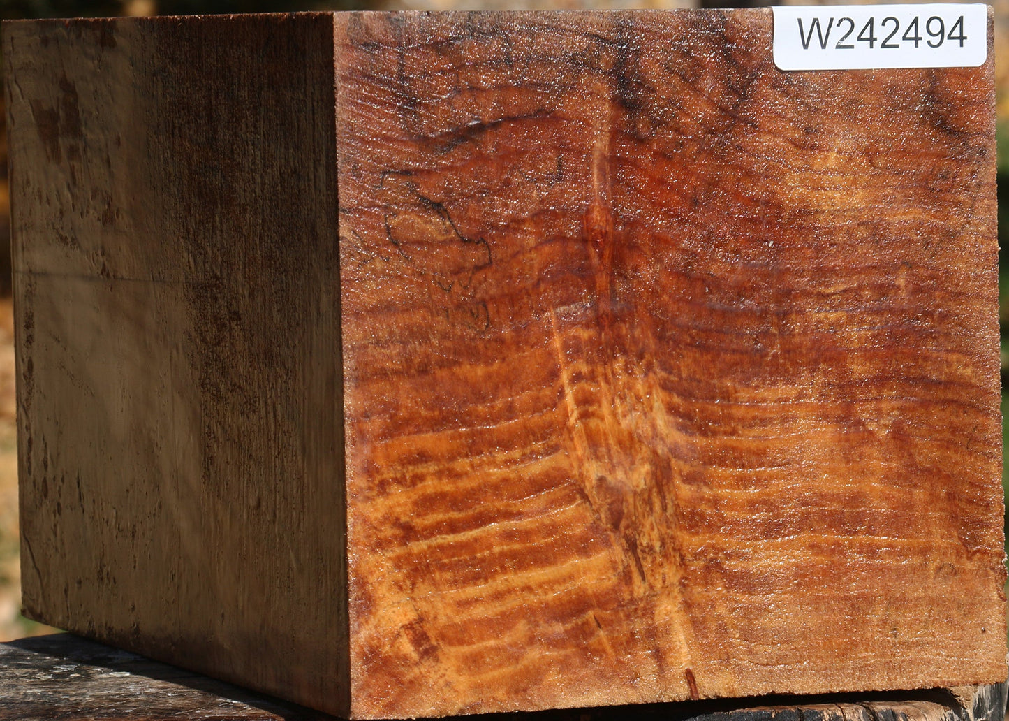 Spalted Maple Vessel Blank