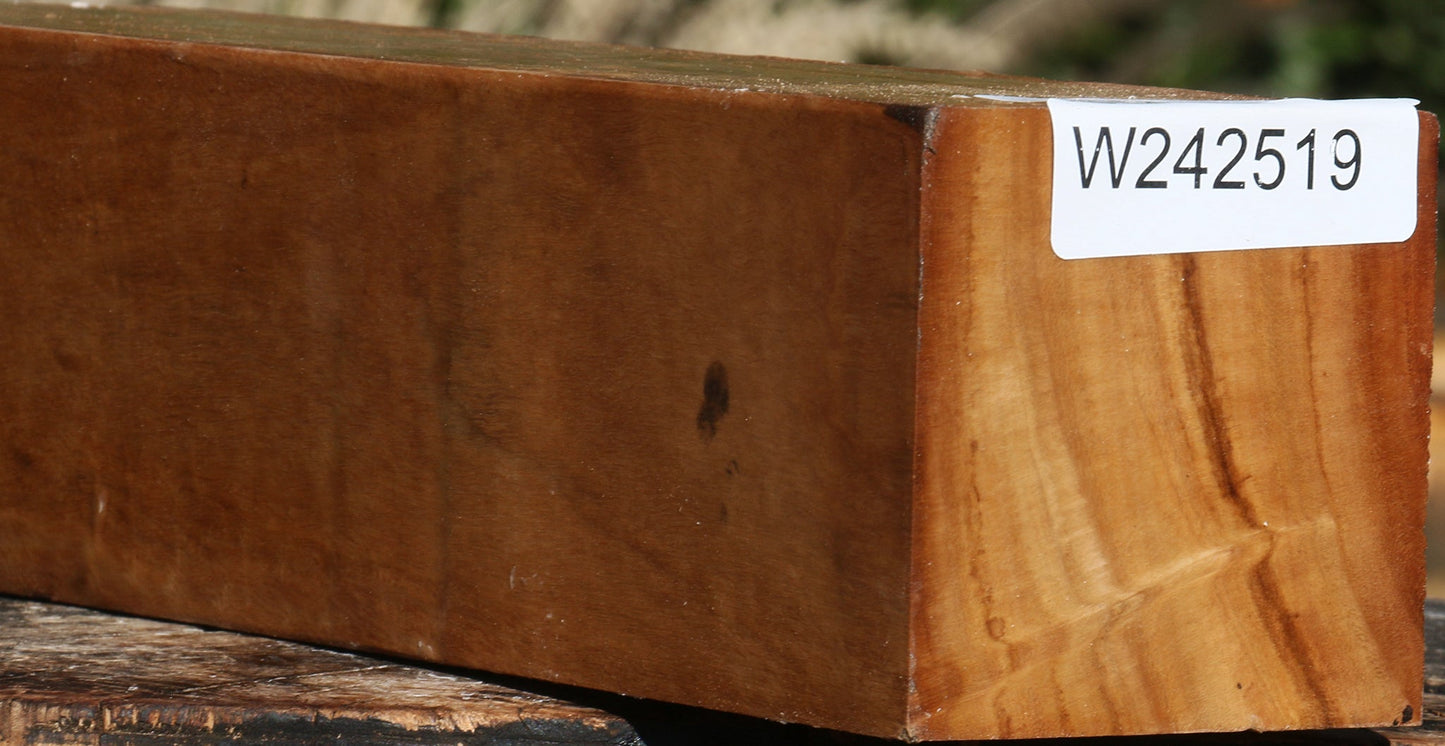 Black Cottonwood Peppermill