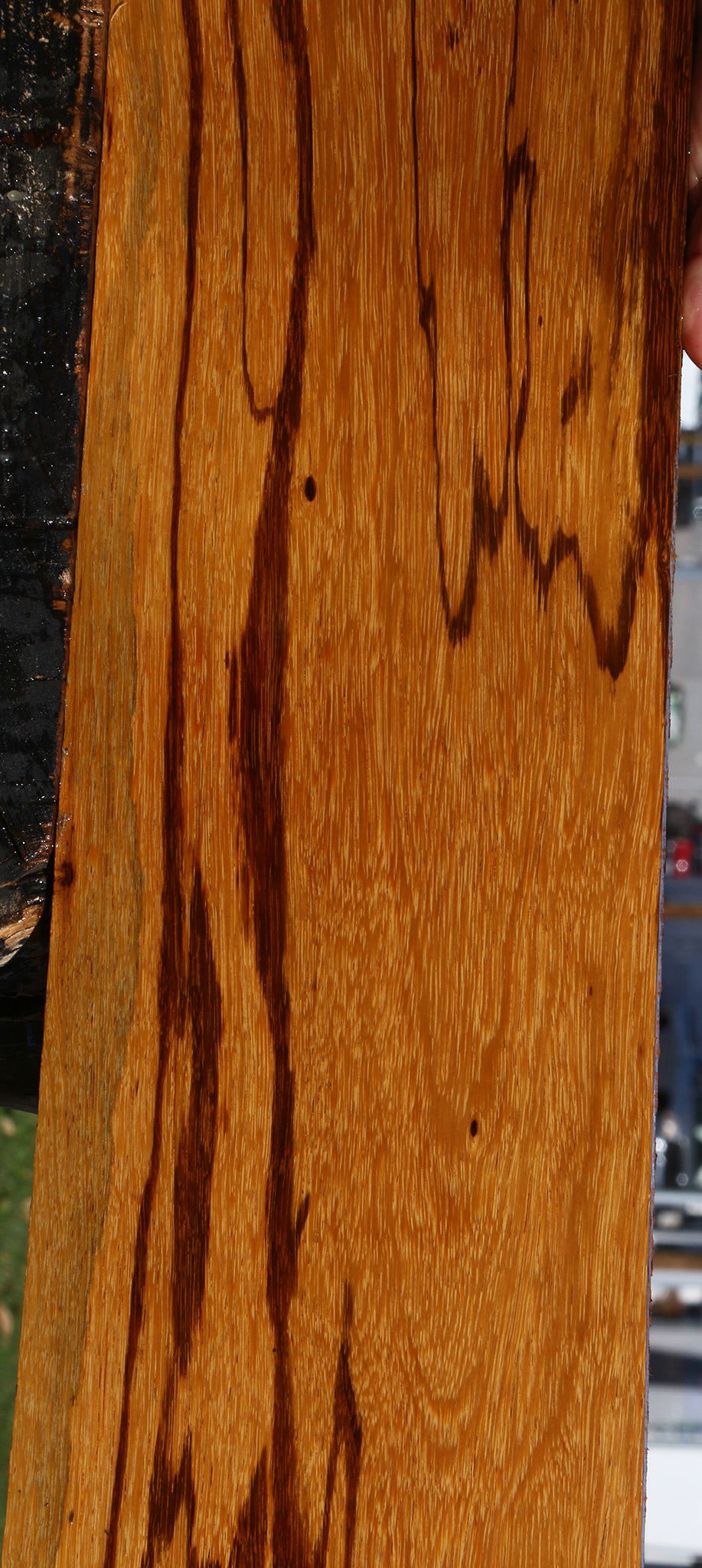 Figured Marblewood Lumber