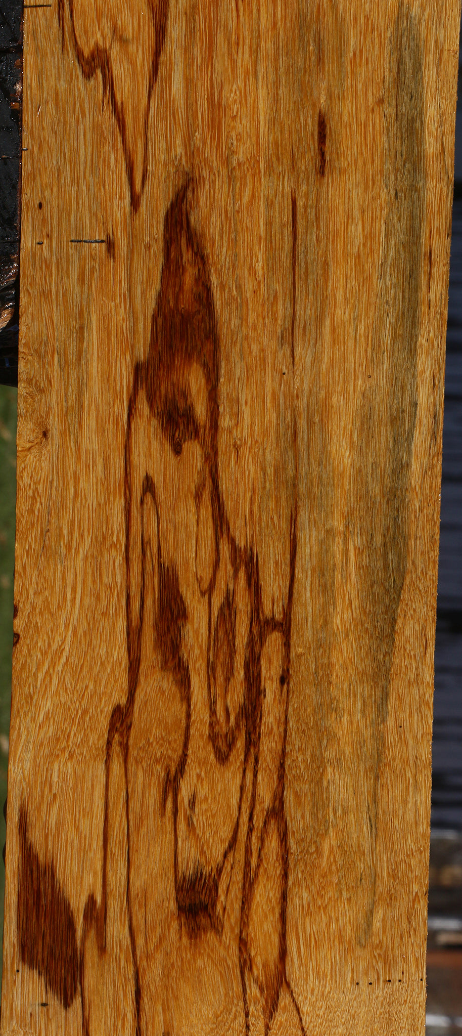 Figured Marblewood Lumber