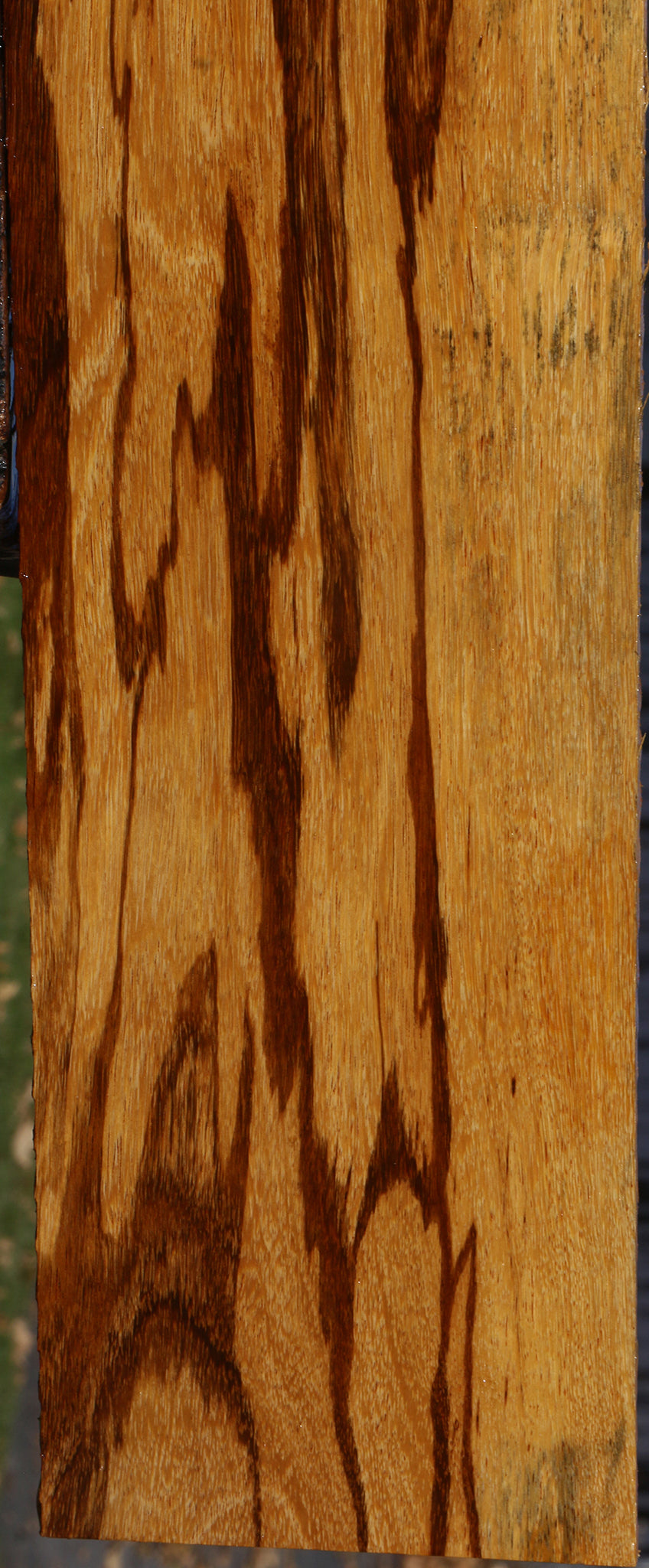 Figured Marblewood Lumber