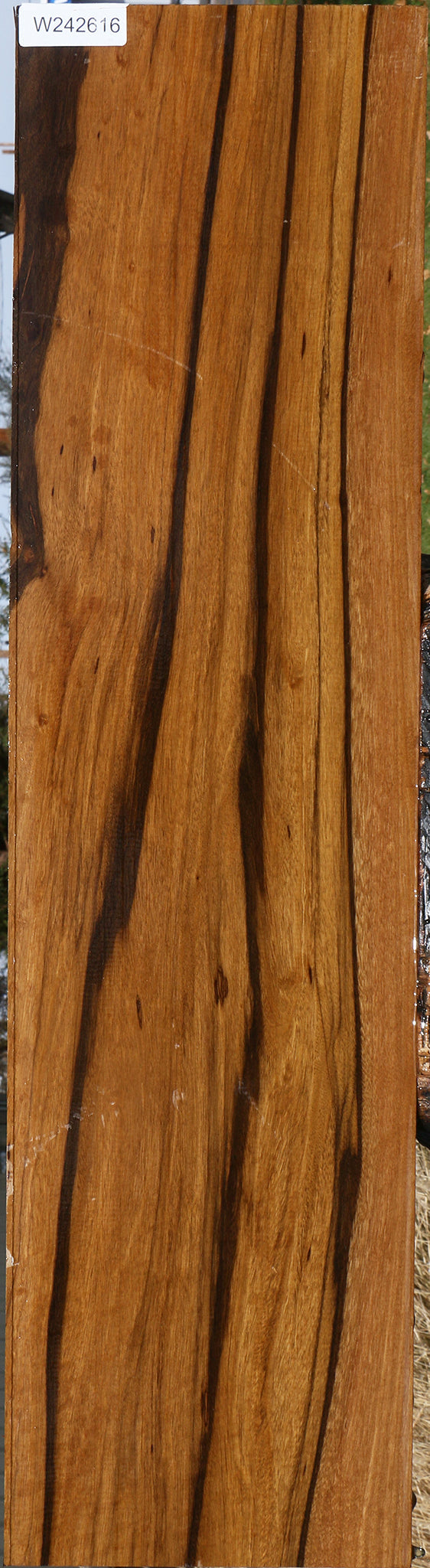 Figured Branquilho Lumber