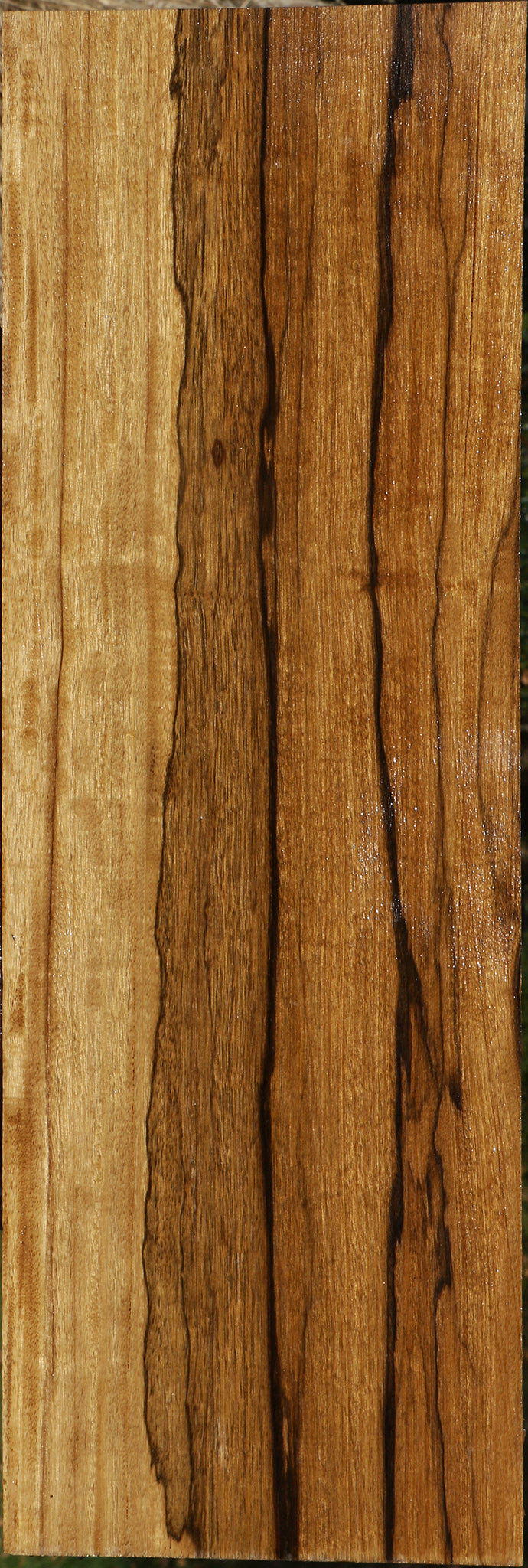 Figured Branquilho Lumber