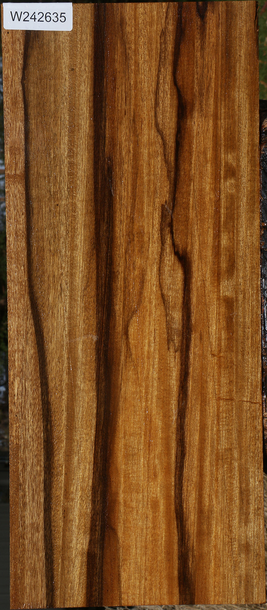 Extra Fancy Branquilho Lumber