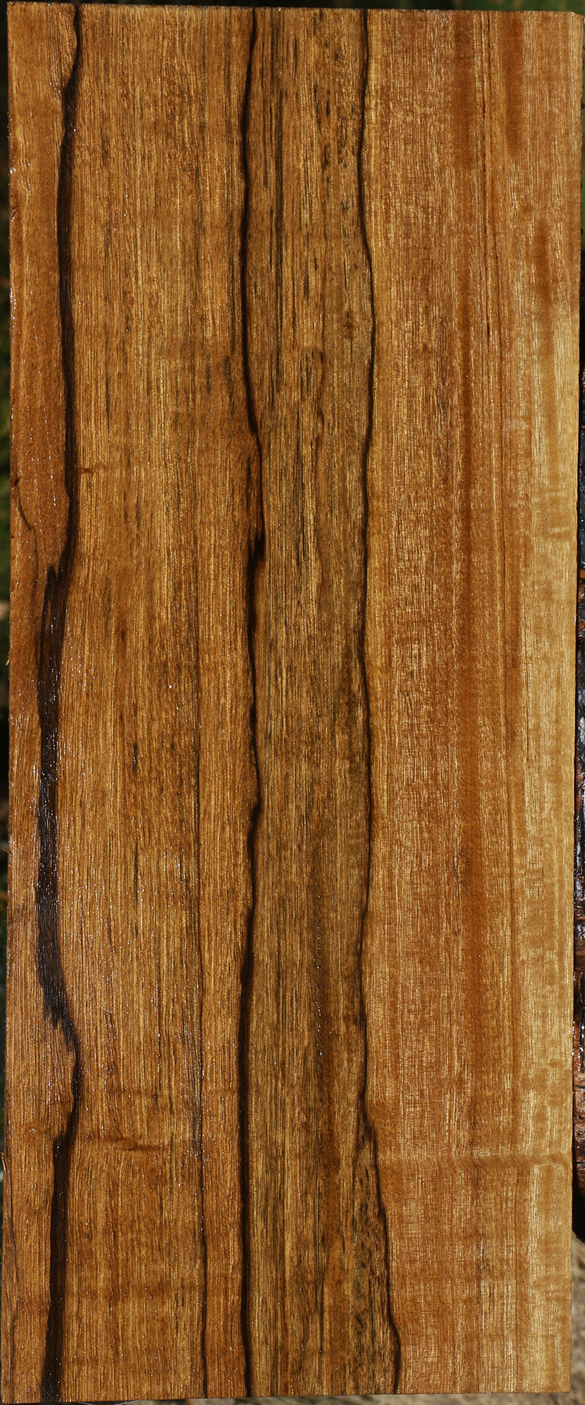 Figured Branquilho Lumber