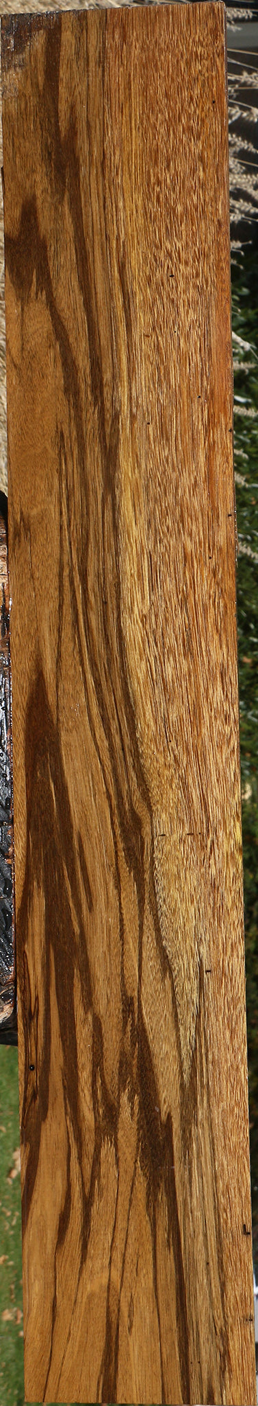 Extra Fancy Branquilho Lumber