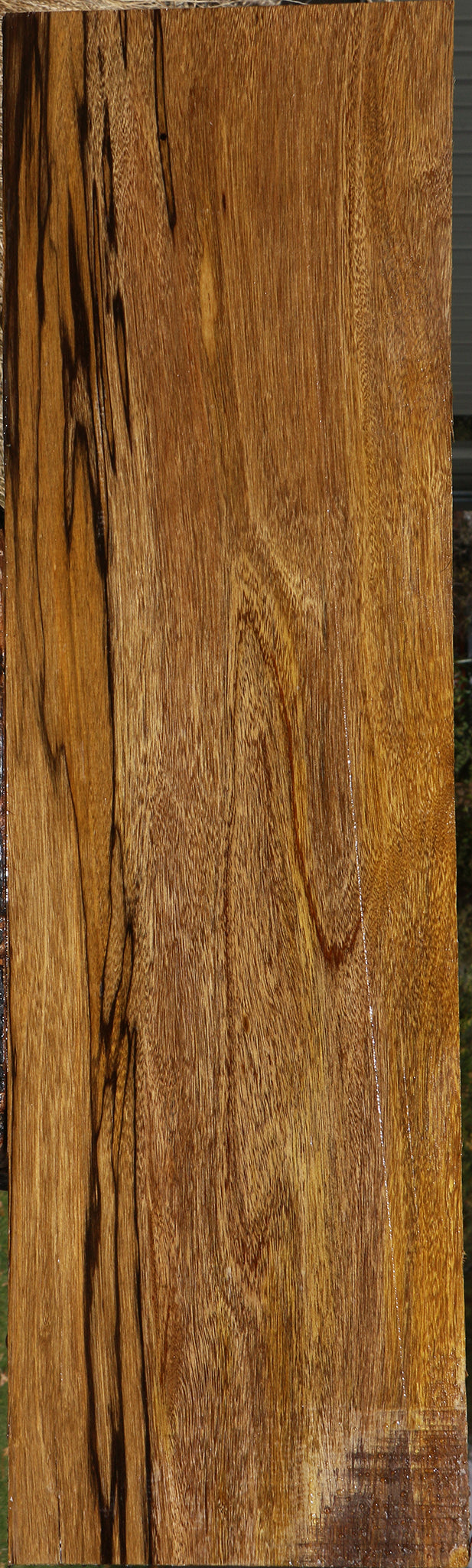 Figured Branquilho Lumber