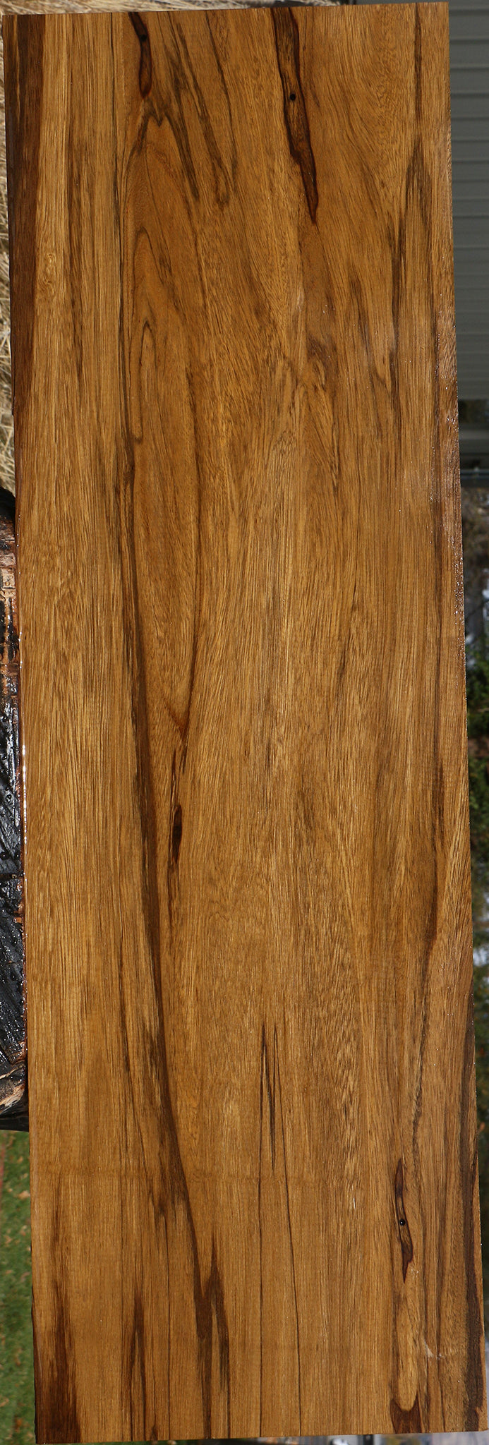 Figured Branquilho Lumber