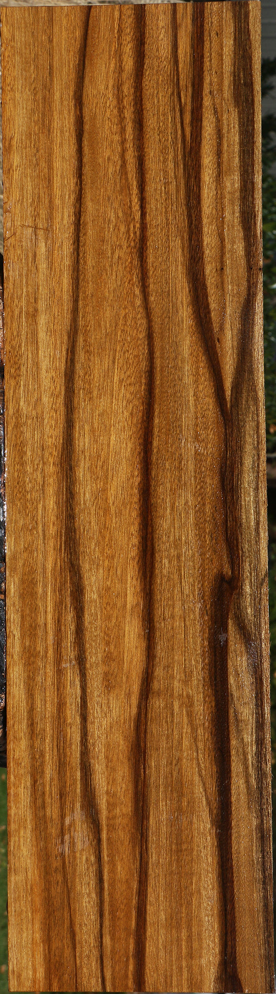 Figured Branquilho Lumber