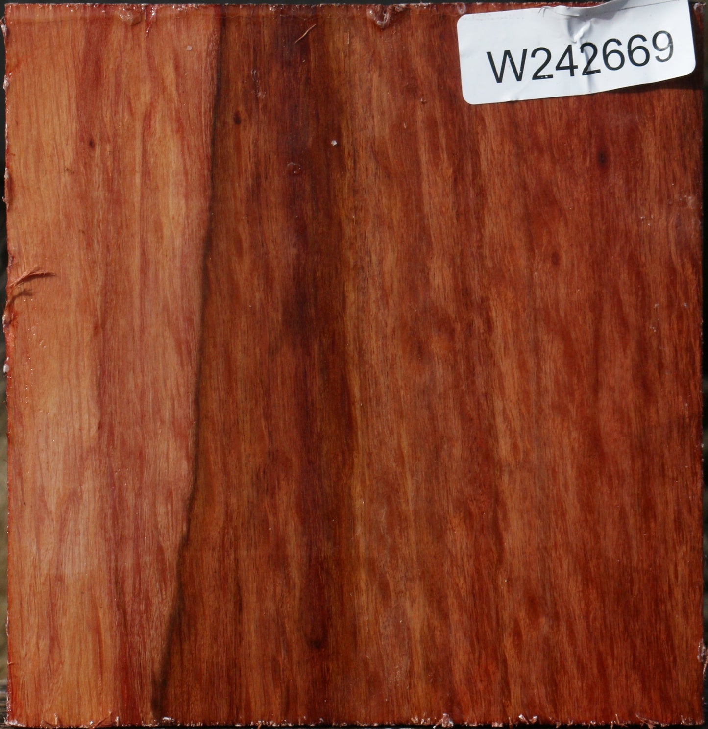 Figured Beefwood Bowl Blank