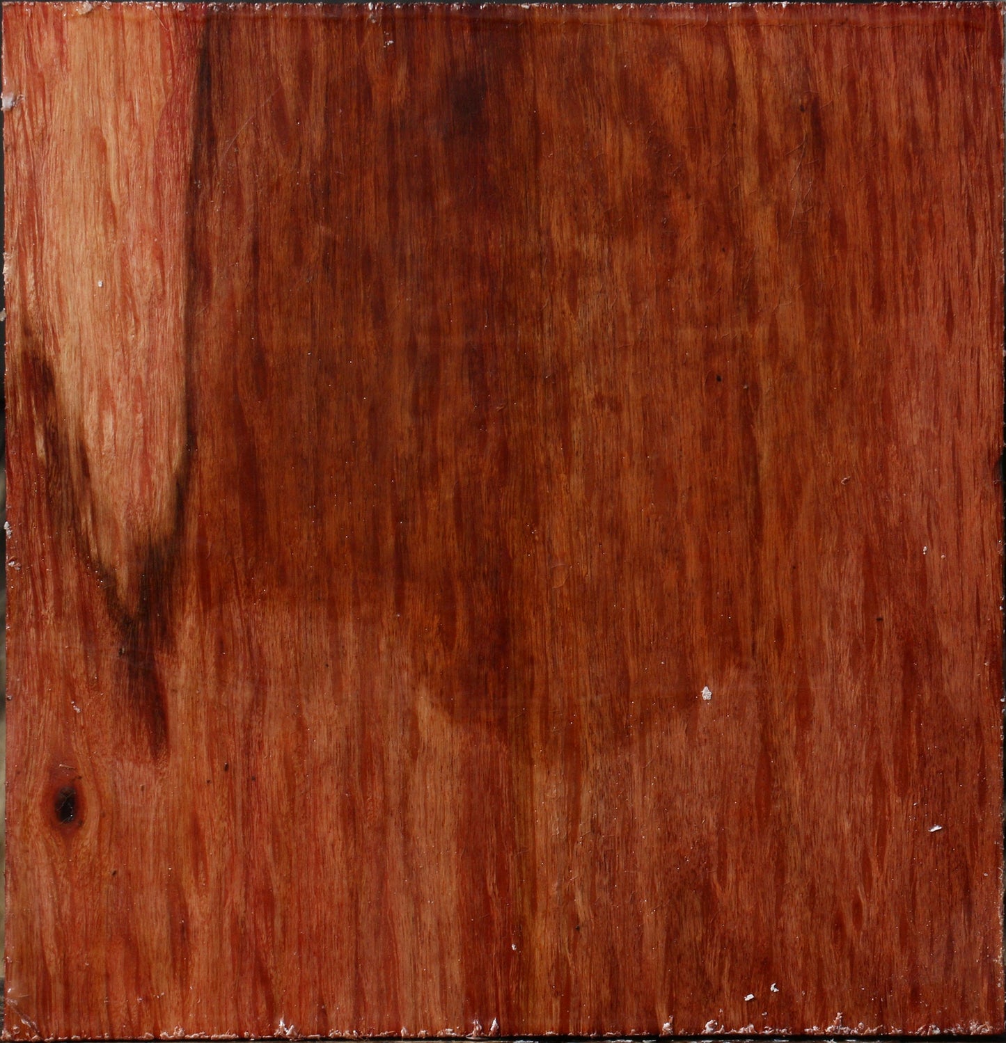 Figured Beefwood Bowl Blank