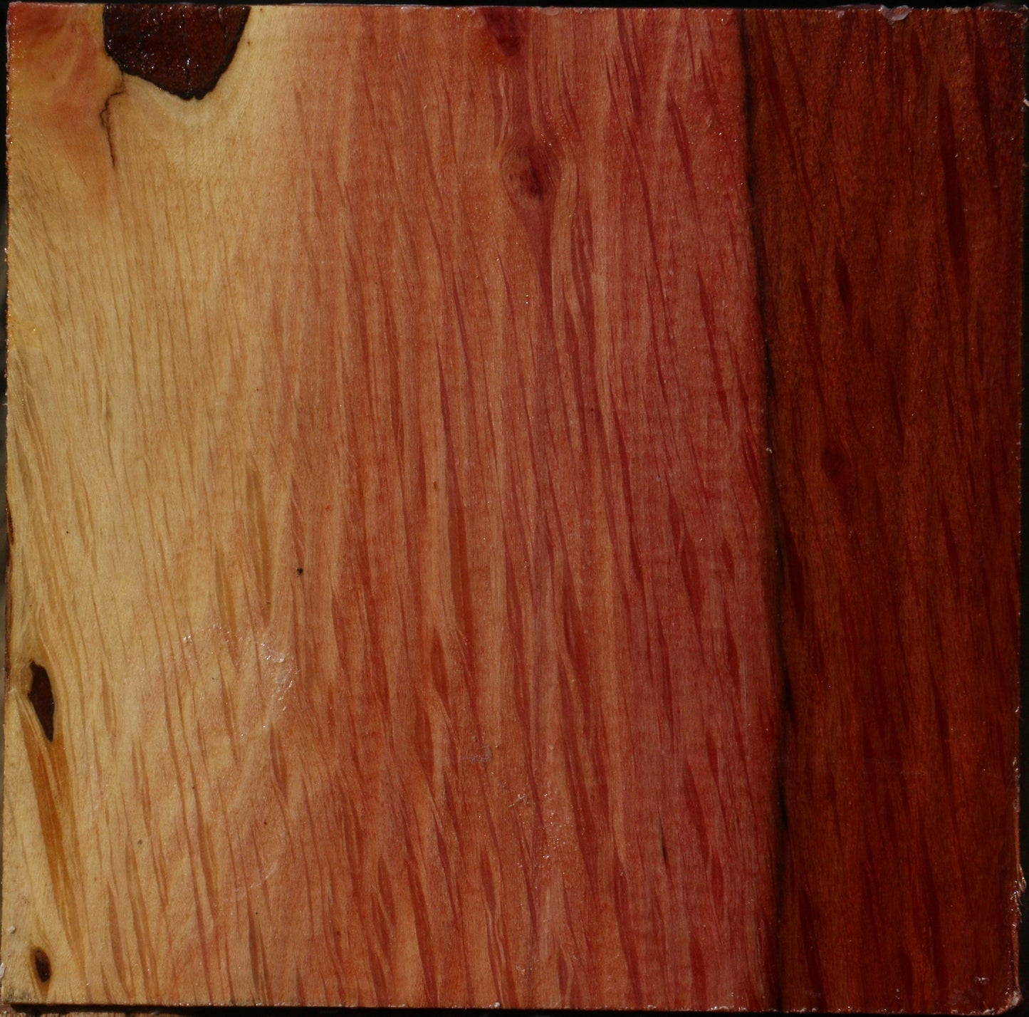 Figured Beefwood Bowl Blank