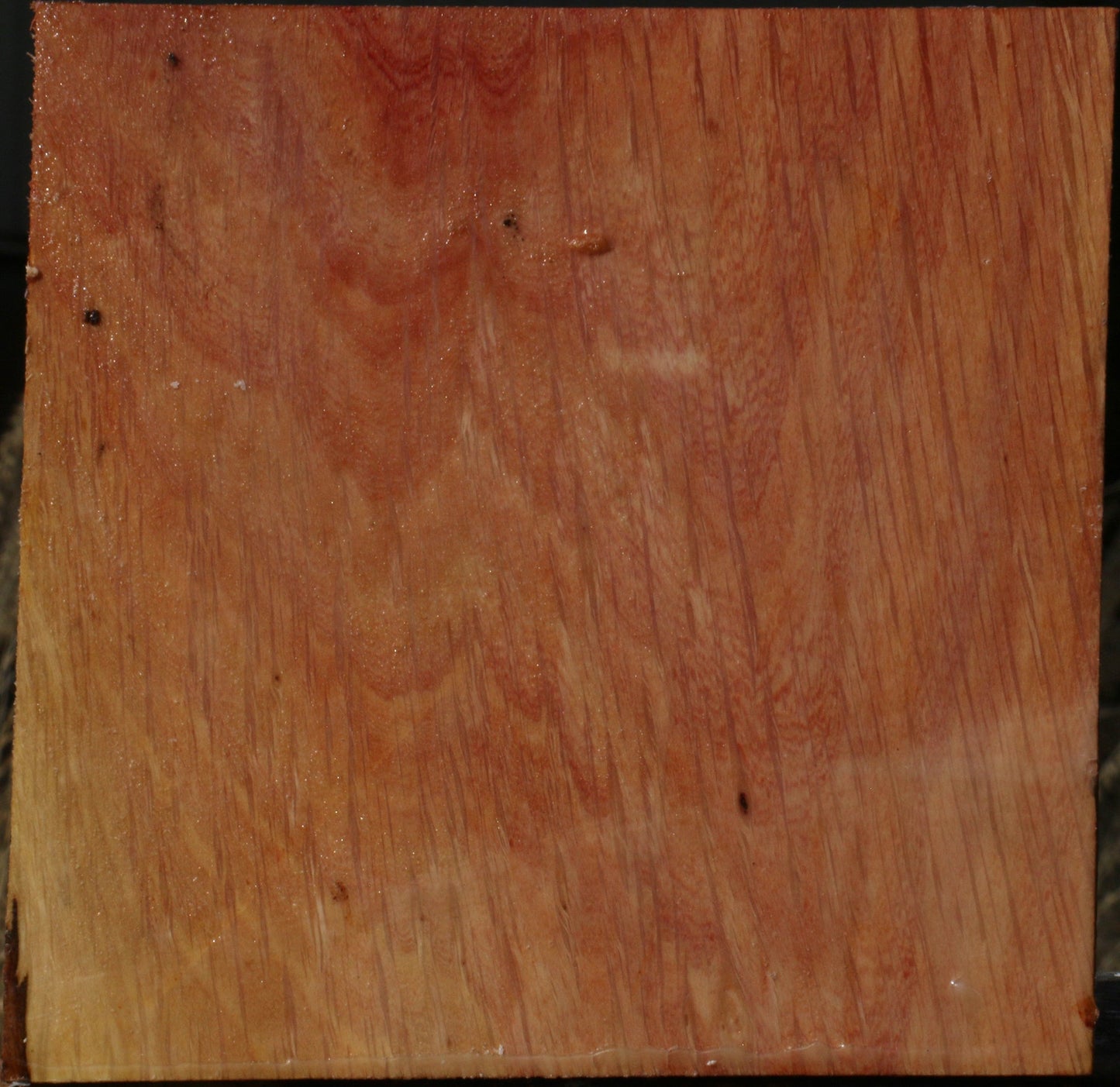 Figured Beefwood Bowl Blank