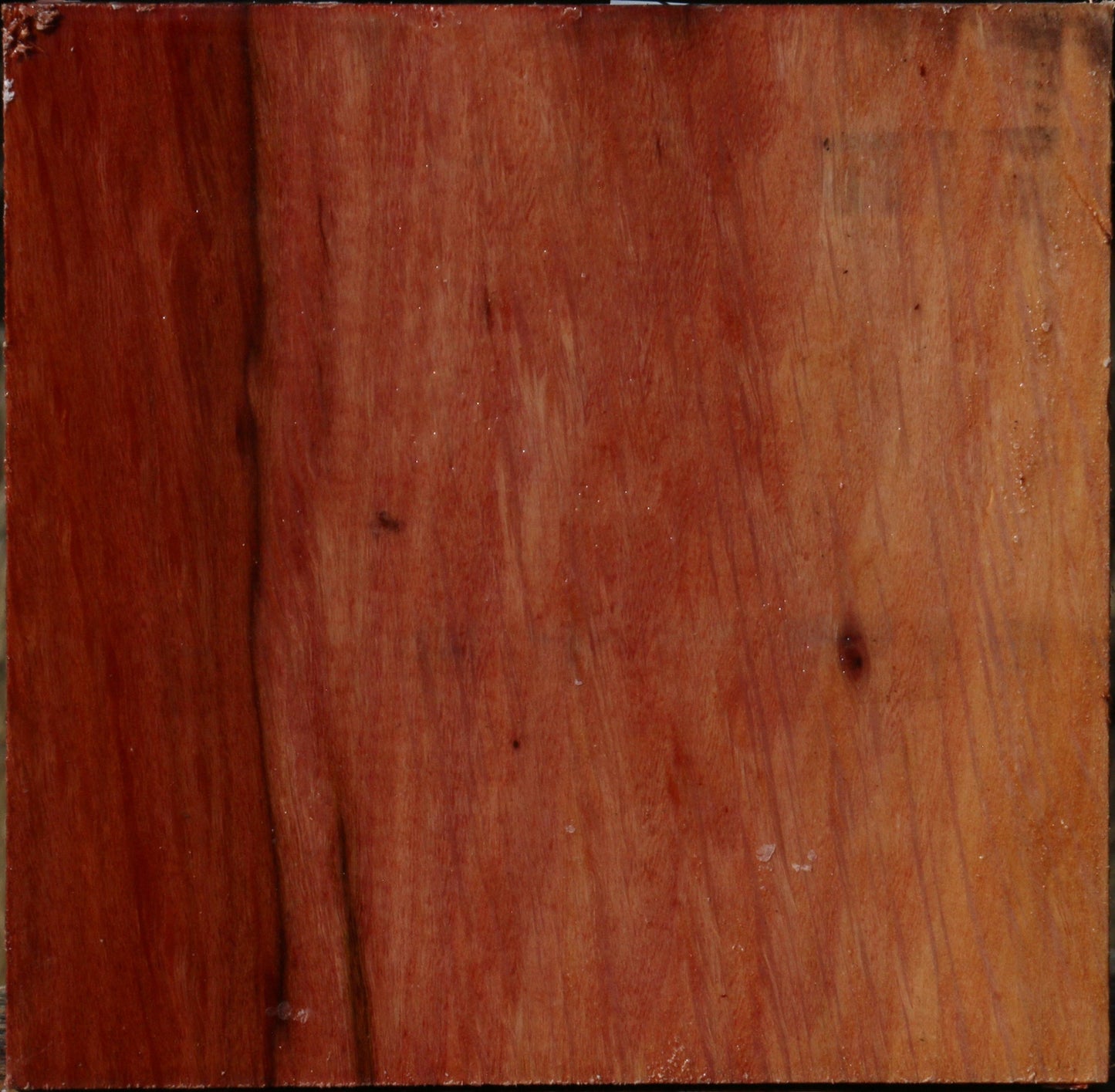 Extra Fancy Beefwood Bowl Blank