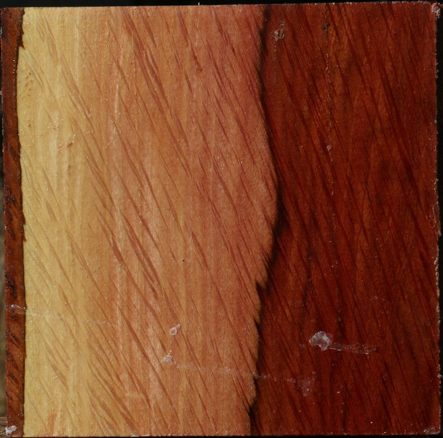 Extra Fancy Beefwood Bowl Blank