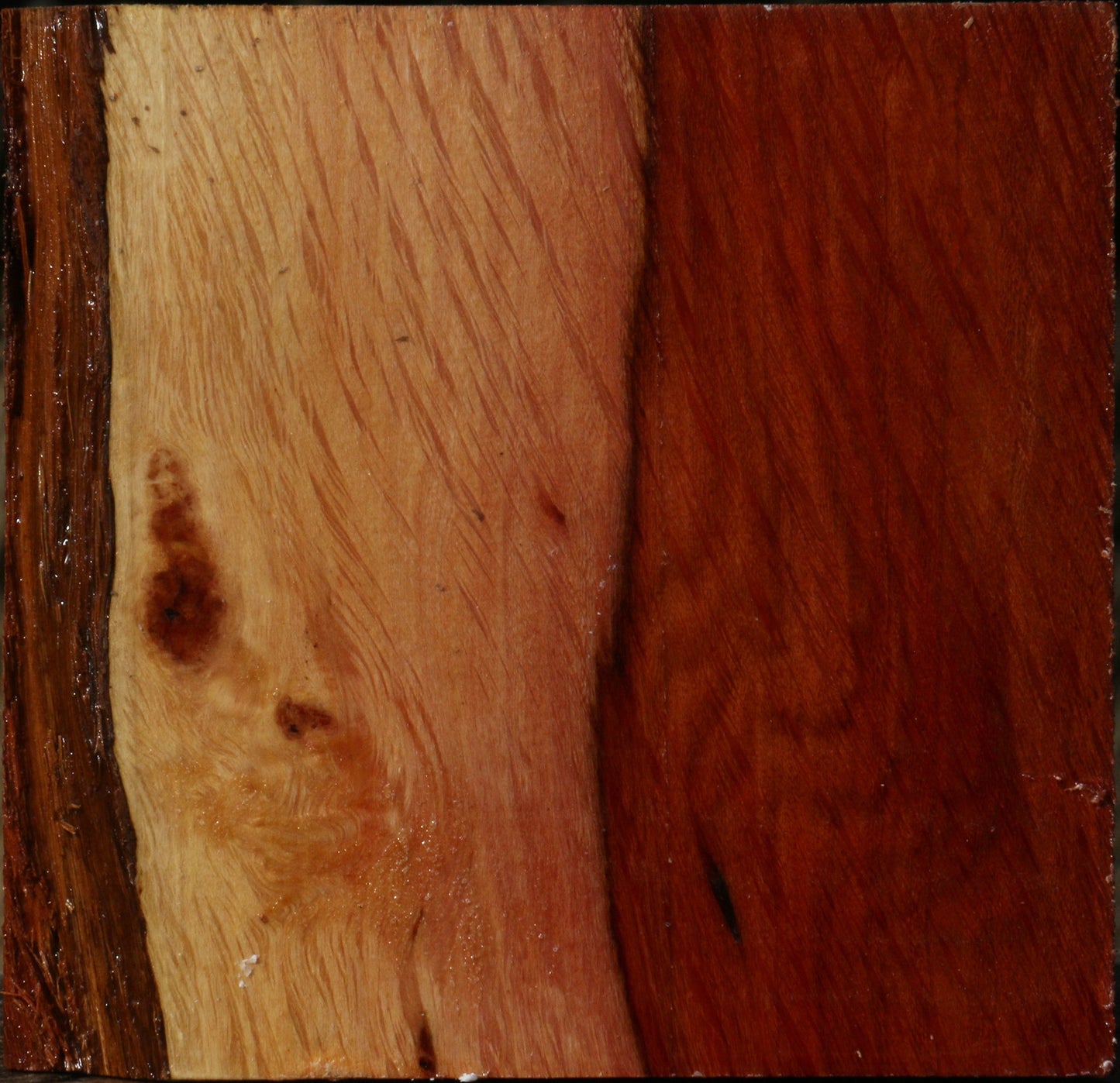 Extra Fancy Beefwood Bowl Blank