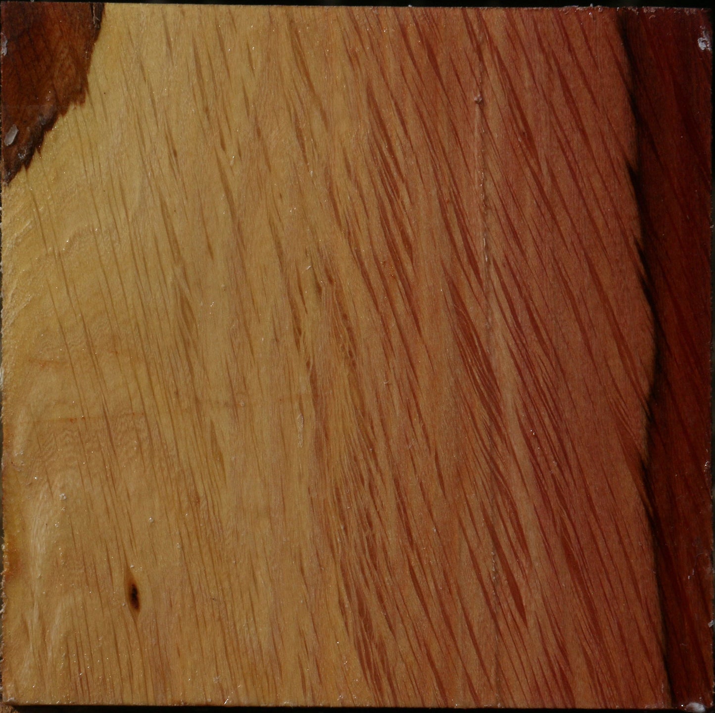 Figured Beefwood Bowl Blank