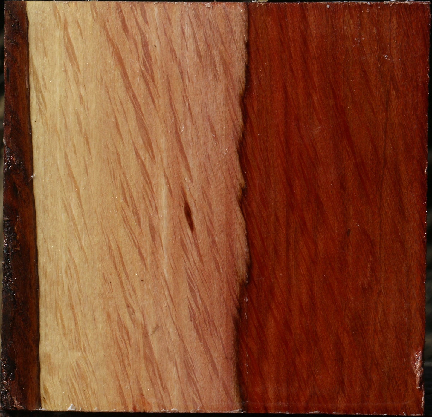 Extra Fancy Beefwood Bowl Blank