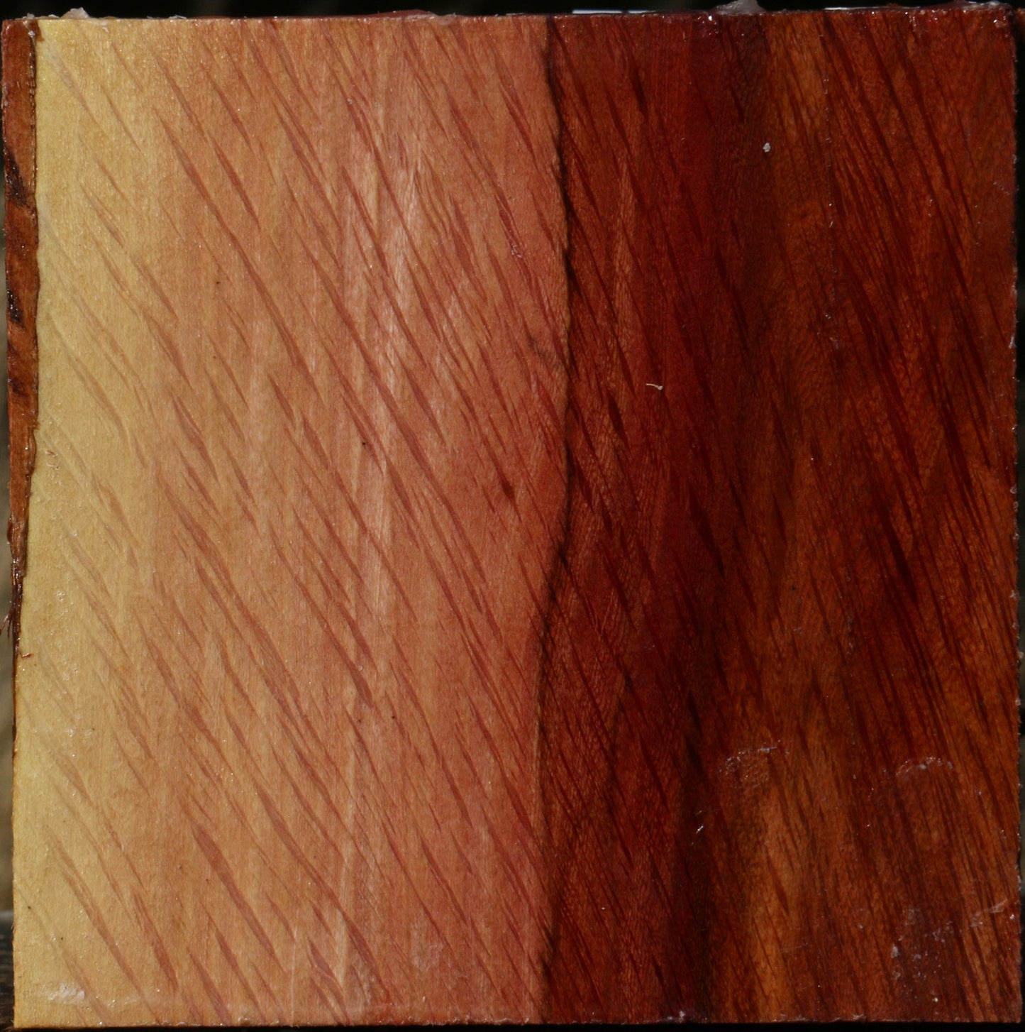 Extra Fancy Beefwood Bowl Blank