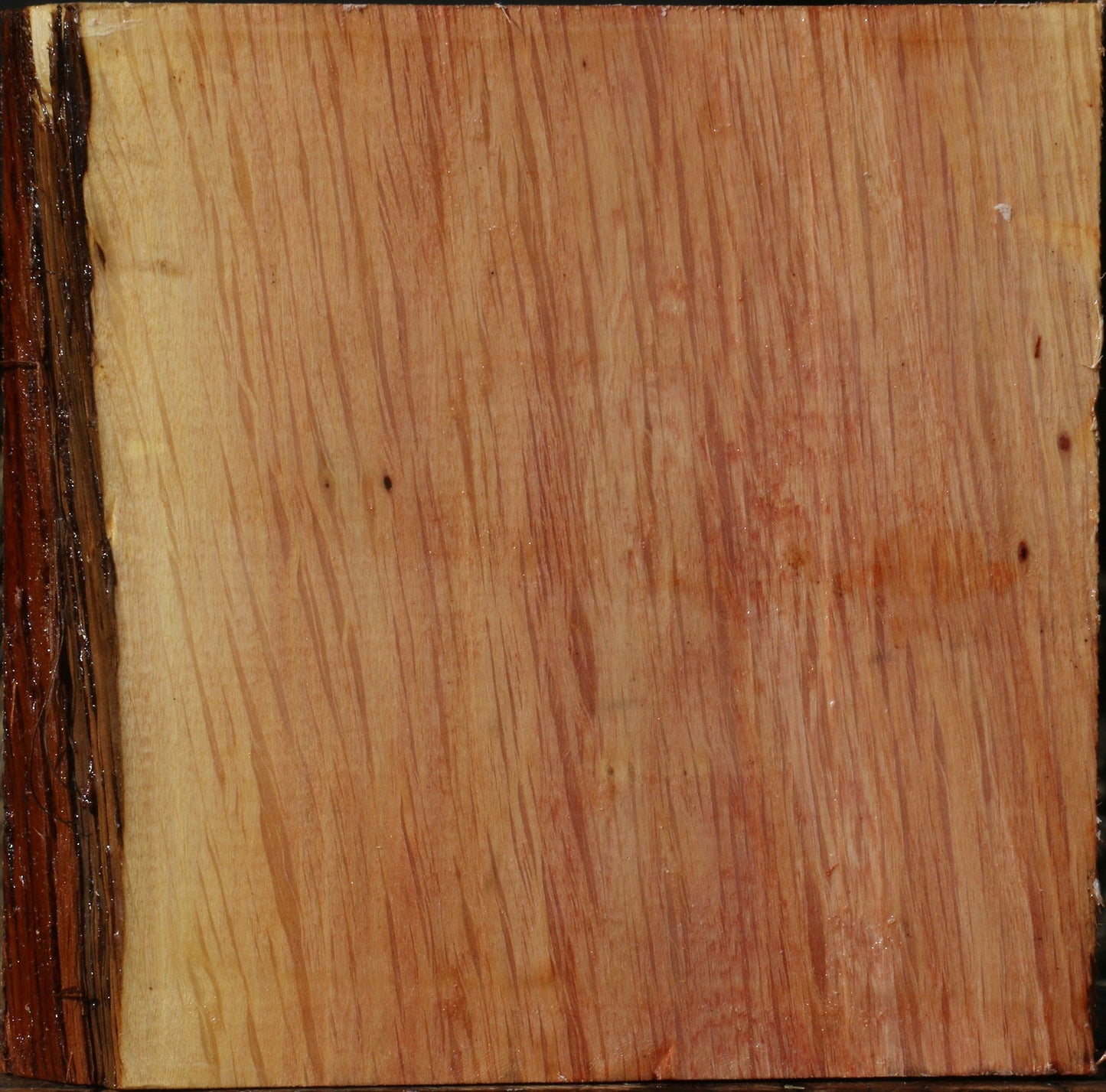 Figured Beefwood Bowl Blank