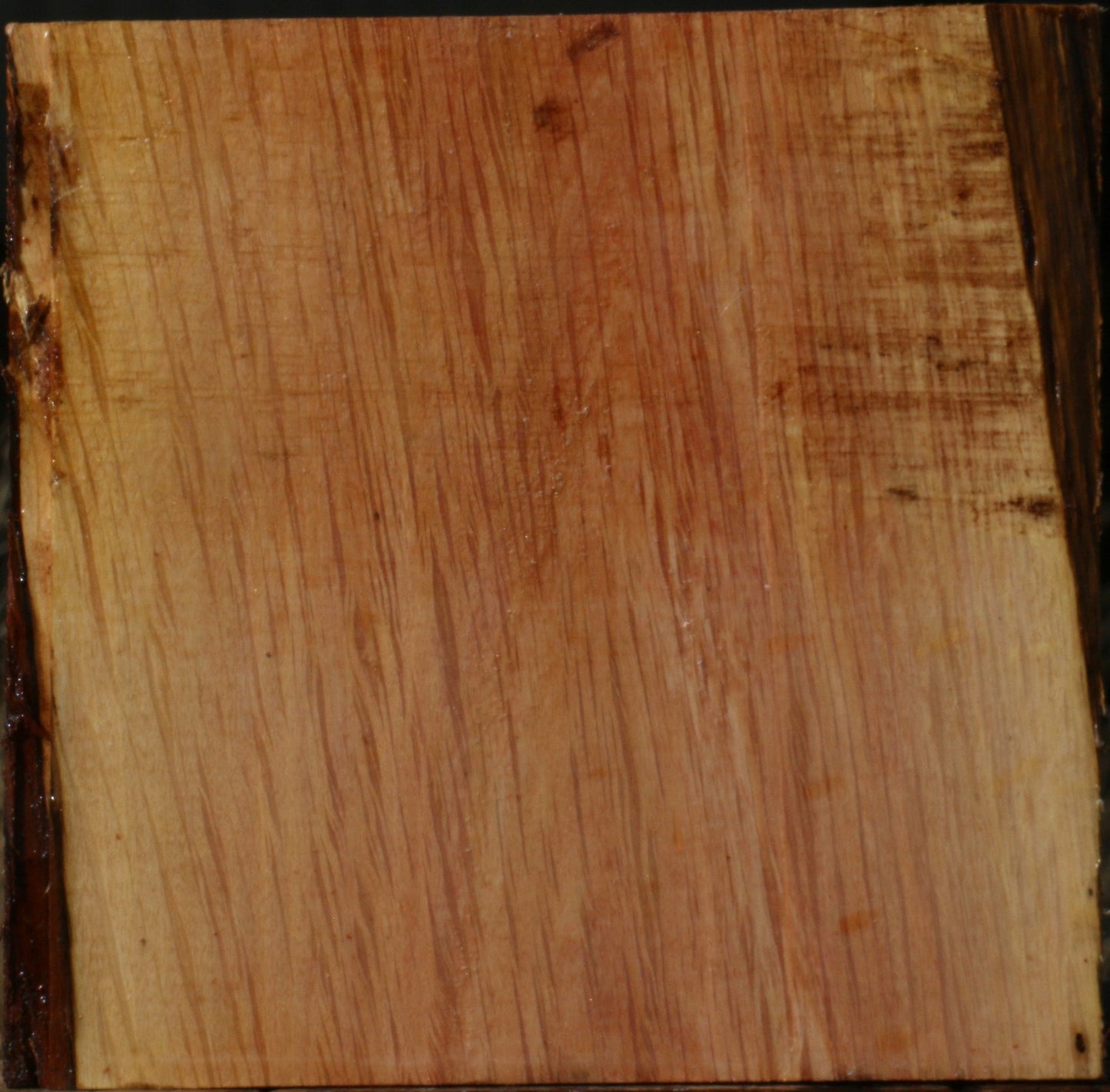 Figured Beefwood Bowl Blank