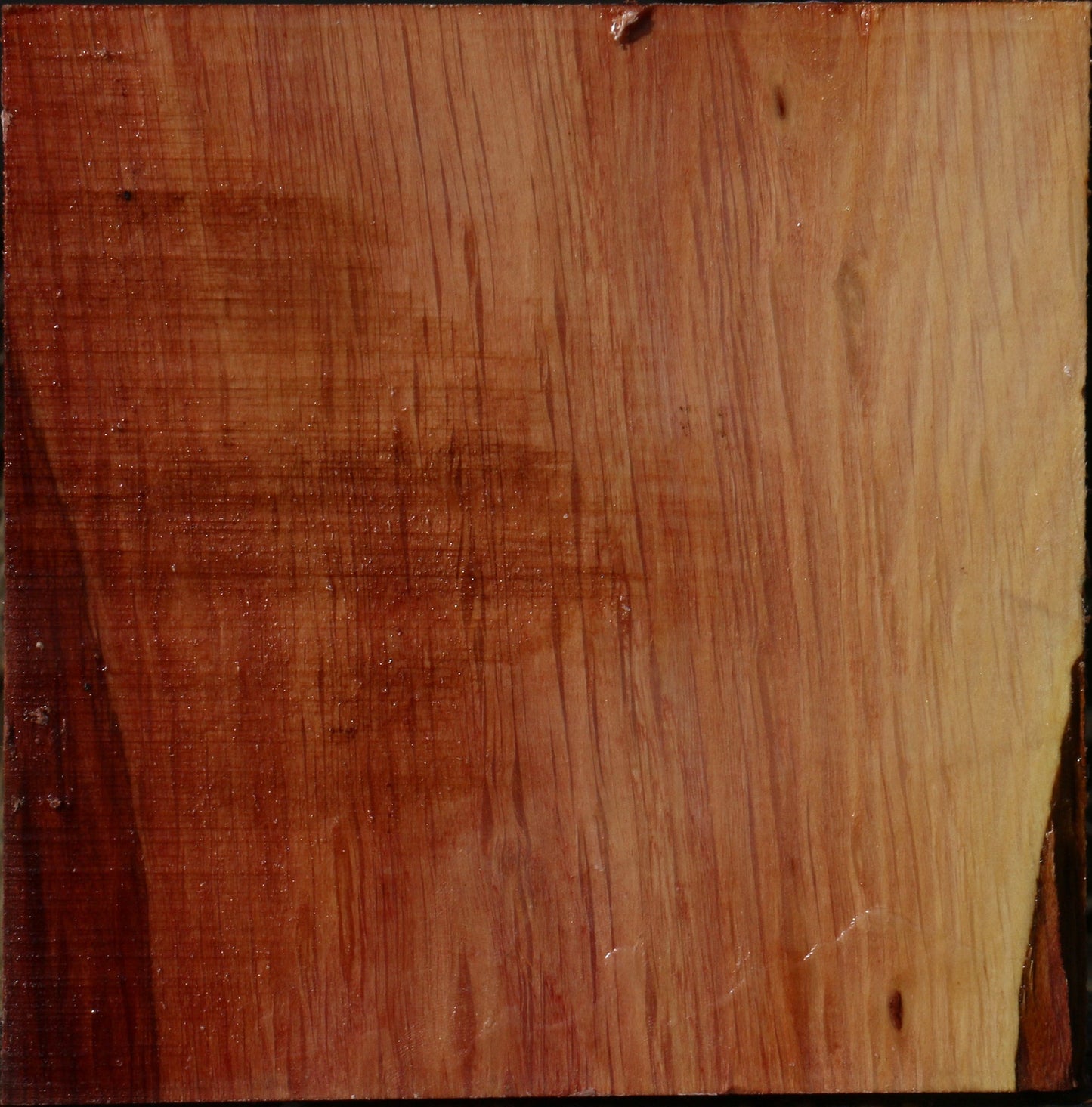 Extra Fancy Beefwood Bowl Blank