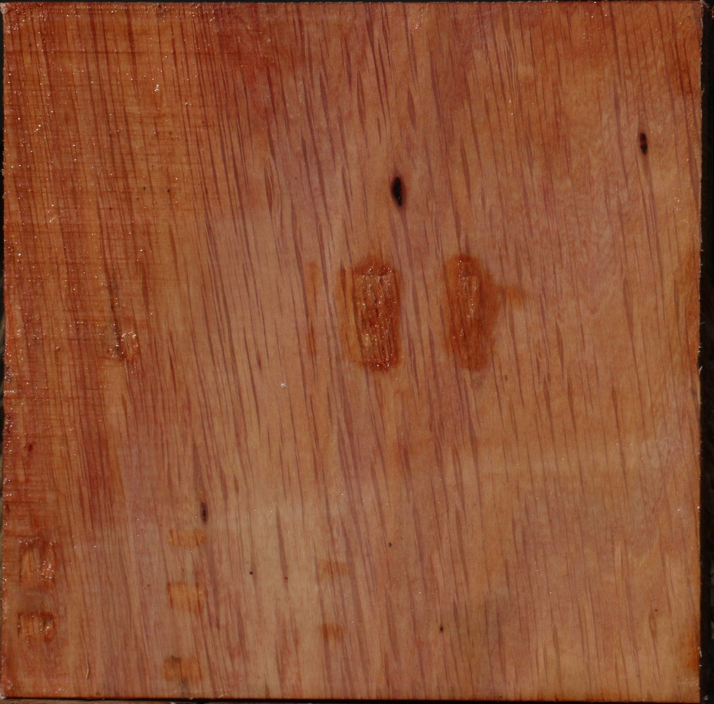 Figured Beefwood Bowl Blank