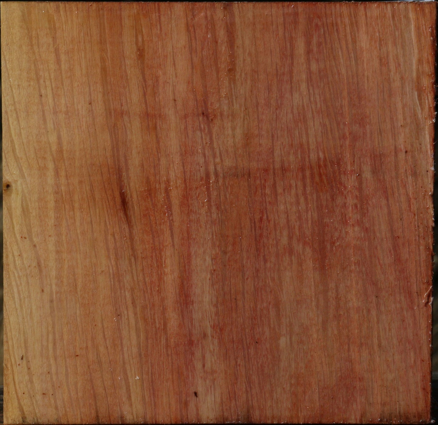 Figured Beefwood Bowl Blank