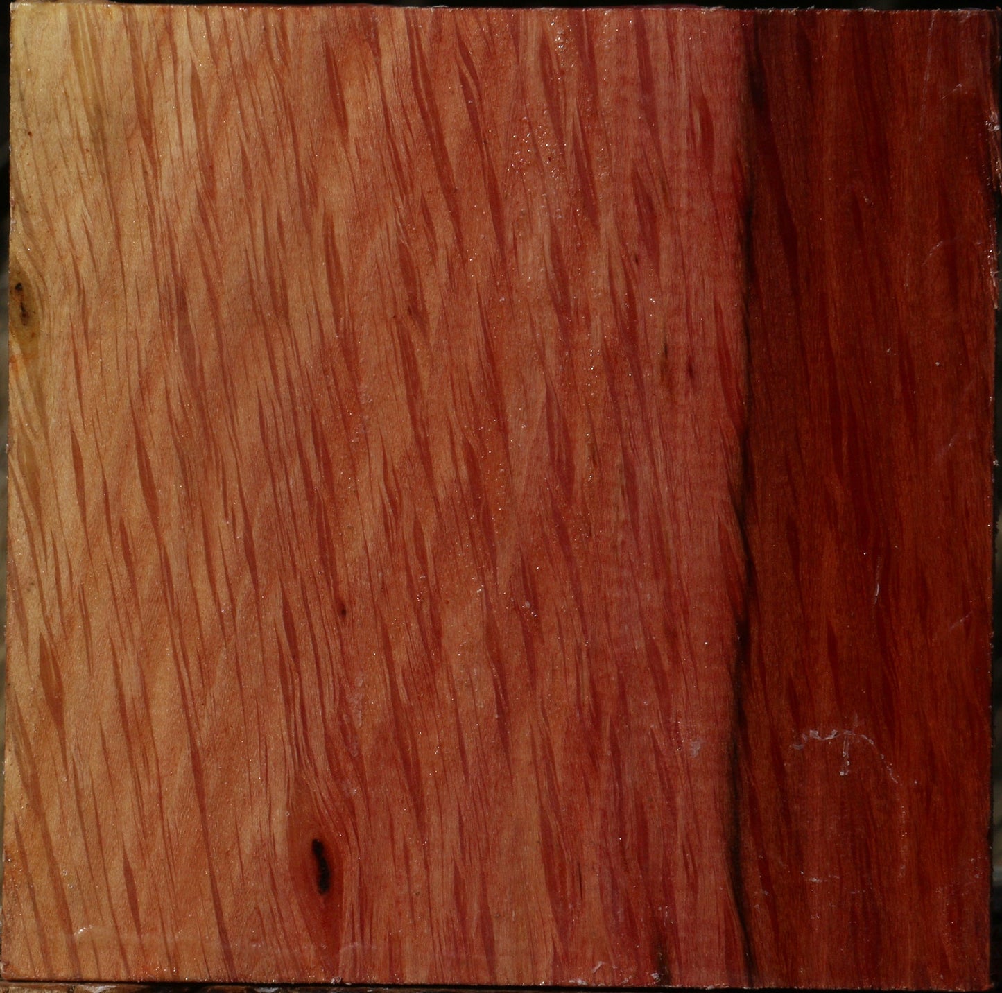 Extra Fancy Beefwood Bowl Blank